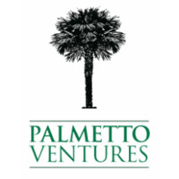 Palmetto Ventures logo - Similar company to Buhawi Investment Management