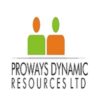 Proways Dynamic Resources logo - Similar company to Kvm Stays