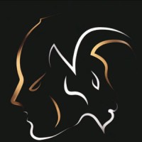 Sergey Zeykan Logo Design logo - Similar company to Devtrust Consulting