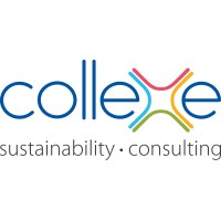 Collexe Consulting logo - Similar company to Pt. Optus Solution