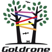 Goldrone SAS parc 
