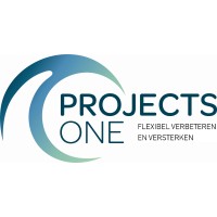 ProjectsOne logo - Similar company to Expericom B.V.