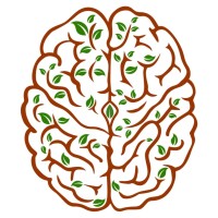 Perception Engineering Group, IIIT Hyderabad logo - Similar company to Xtriam