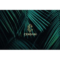 Cendani logo - Similar company to Iotanic
