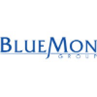 BlueMon Group logo - Similar company to Vernus Elc