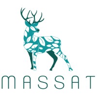 Massat logo - Similar company to Captron China