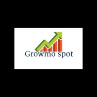 GrowMo Spot logo - Similar company to Sn Financial