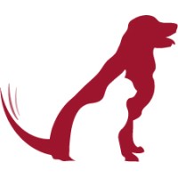 Forte Veterinary Partners logo - Similar company to Vetcentric