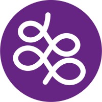 Satori Education logo - Similar company to Learning Accelerators