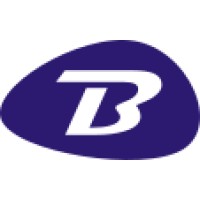 BPIT Consultores en Tecnología e Informática logo - Similar company to Ieee Bpit