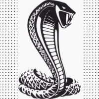 Cobra Productions logo - Similar company to Atv Springs