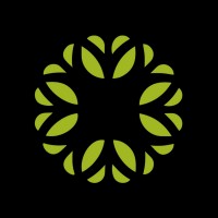 O.LIVE logo - Similar company to Decma Water