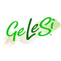 GeLeSi logo - Similar company to Riptide Digital Gbr