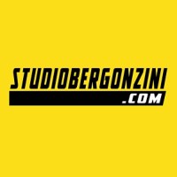 Studio Bergonzini Comunicazione logo - Similar company to Value Target Srl - Finanza Agevolata
