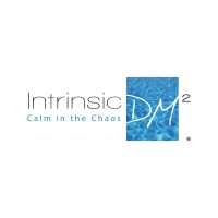 Intrinsic DM² logo - Similar company to Backenger Consulting