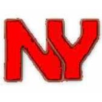 NeuroYoga.Digital logo - Similar company to Brainflow