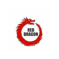Red Dragon India logo - Similar company to Catalystz Business Solution