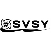 Silicon Valley Stem 4 Youth