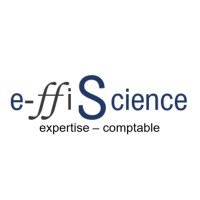 E-FFISCIENCE logo - Similar company to Cabinet 31