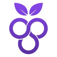 Cyberry GmbH logo - Similar company to Vexed Solutions