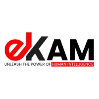 Ekam Solutions logo - Similar company to Aran Technologies India