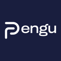 Pengu logo - Similar company to A Tech Advisory B.V.