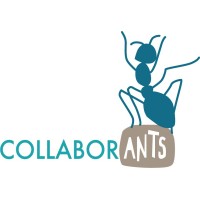 CollaborANTS (registered as Collaborative ANTs Ltd) logo - Similar company to Findra