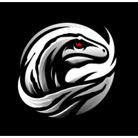 Team Velociraptor Racing logo - Similar company to Innovdrive_Vitc