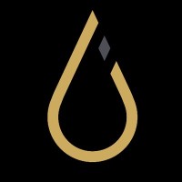 Oleum Capital Holdings Inc. logo - Similar company to Rykor Llc