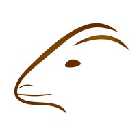 Zamgoat logo - Similar company to Brightstar Technology Co., Ltd.