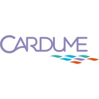 Cardume logo - Similar company to Monte Castelo Filmes