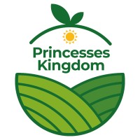 Princesses Kingdom Corp logo - Similar company to Glesby Marks