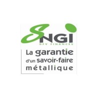 SNGI logo - Similar company to Sngi