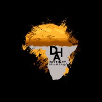 Distinct Africa Holdings logo - Similar company to Cacellular