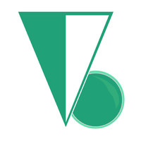 The Vincent Brothers Review logo - Similar company to Book&Me