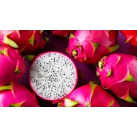 Export Dragon Fruit Vietnam logo - Similar company to Dragon Fruit Export