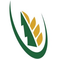 ICMS logo - Similar company to The Skill Guru Foundation (Ngo - Free Education)