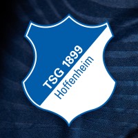 TSG Hoffenheim Fußball-Spielbetriebs GmbH logo - Similar company to Rhein-Neckar Löwen