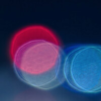 International Trade Intelligence logo - Similar company to Iris