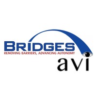 Association for the Visually Impaired logo - Similar company to Northeastern Association Of The Blind At Albany (Naba)