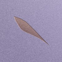 BlinkShop logo - Similar company to Upfront Pharma