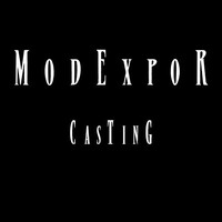 MODEXPOR INTERNACIONAL SL logo - Similar company to Modexport