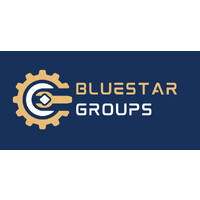 BLUESTAR GROUP logo - Similar company to Bluelight Group