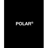 Polar Enterprise Inc. logo - Similar company to Polar Corporation