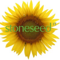 Stoneseed logo - Similar company to Pmaas (It) Ltd