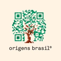 Origens Brasil® logo - Similar company to Systemique