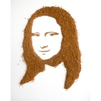 Pellet Schuster - HS Holzexport Schuster logo - Similar company to Pellet Technology Usa