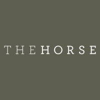 The Horse logo - Similar company to Paul Waddy Ecommerce Pty Ltd