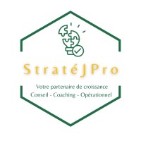 StratéJ Pro logo - Similar company to Beelink Recruitment