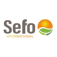 Sefo International LLC logo - Similar company to Anfex Promptly
